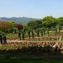 산책길 이미지