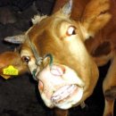 더블유월드 이미지