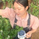 우하하농장 이미지