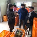 김천수농장 이미지