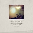 애드세이