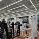 응암역 | 응암역 PT 다이어트 후기 여성 전문 헬스장 휘트니스피플 응암점