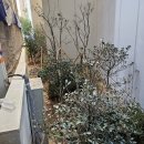 (주)수목건설 이미지