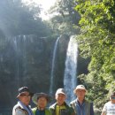 천지연 폭포 이미지