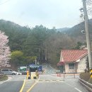 제암산자연휴양림 식당 이미지