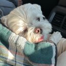 몽글몽글 이미지