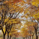소래산방 Daum카페