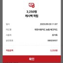 유가옥 | 대전 부사동 맛집 ,유가옥 설렁탕 후기