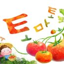 더토마토