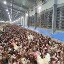 평사농장 이미지