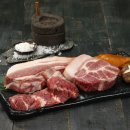 제주도야지 이미지