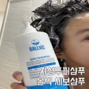볼빅 세보샴푸 지성두피 케어로 딱인걸요