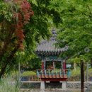 센트럴파크 5 | [화성 동탄] 센트럴파크 '솔솥' 내돈내산 후기 : 든든하고 정갈한 솥밥 맛집 🍚