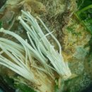 팔각정화장실 이미지