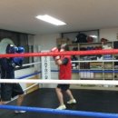 데이빗 복싱체육관 이미지
