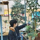 영스케 이미지