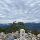 제229차 경남 창원시 적석산(구름다리) 정기산행 공지 이미지