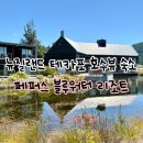 리조트주유소 | 뉴질랜드 테카포 호수뷰 숙소 l 페퍼스 블루워터 리조트