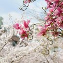 하얀마을어린이공원 이미지