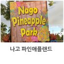 북부카랜드 | [오키나와]나고 파인애플랜드 관람후기