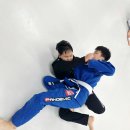 (학교)경포초 이미지