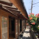 [포항 숙소] 칠포해수욕장 숙소, 포항 독채 감성 민박 욱이네 민박(woogi_minbak)