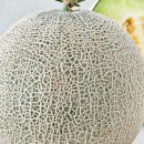 삼천포대교공원 네이버블로그