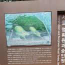 [5060여행친구]숭인원(고종의손자이진)탐방후기,19,8,23,금 이미지