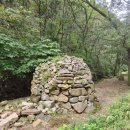 백야자연휴양림 이미지