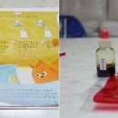 실험으로 알아보는 재미난 과학 이미지