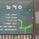 면목동 느티나무 이미지