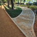 하단동118 이미지