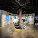 지리산 보더콜리 이미지