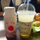 꿈꾸는 바다 | 태안 캠핑장 추천! 오션뷰 조개 캐기 가능한 꿈꾸는 바다 캠핑장