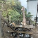 빽다방강릉 - 강릉시 하평길 40 | 🌅 주문진 아침카페 찾아 삼만리! 7시 오픈 '빽다방 강릉주문진점' 발견 후기