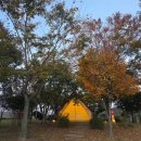 순천-10호 이미지