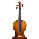 과르네리 이미지