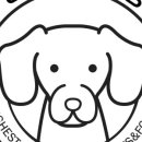 명랑견생 이미지