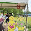 제20회 창녕낙동강유채축제 다녀옴