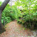 국립가리왕산자연휴양림 이미지