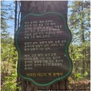 서울근교 산책 안성 금광호수 하늘전망대 주차 버스여행 방문후기