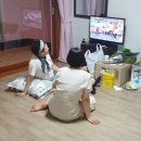 제주청년회 Daum카페
