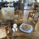 리버스토리 1210 이미지