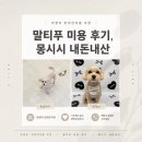 몽시시 네이버블로그