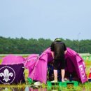 진흙탕 속 설치된 잼버리 텐트…벨기에 누리꾼들 “머드 축제인가요?” 이미지