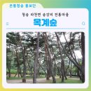 목계숲 2 이미지