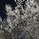 금천독일맑은보청기 이미지