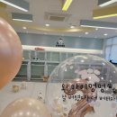 오마이멍멍 이미지
