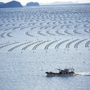 일등수산물 이미지