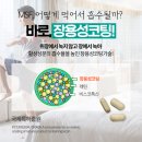 엠에스에프 - 하남시 조정대로 35 | 엠에스에프